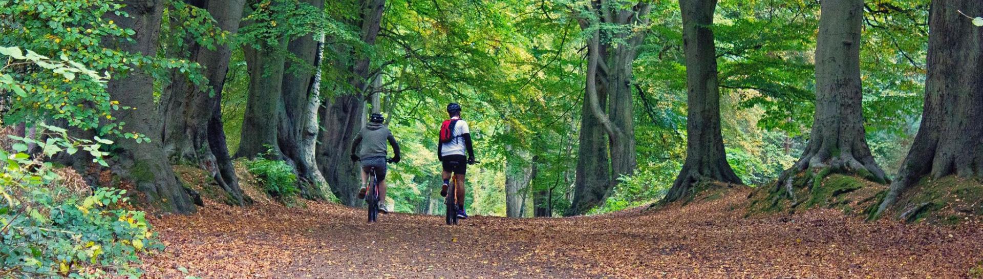 Cycling in Northamptonshire Forest (Harlestone Firs)