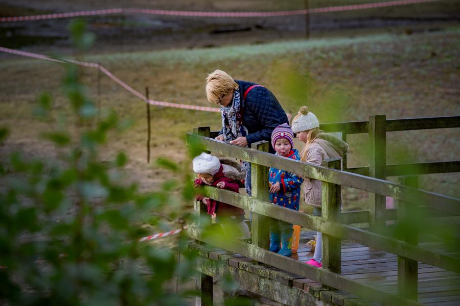 family activity children parents 