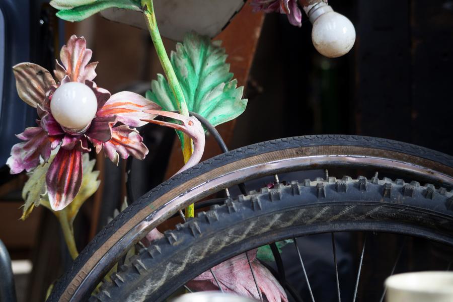 Bicycle wheel and flamingo