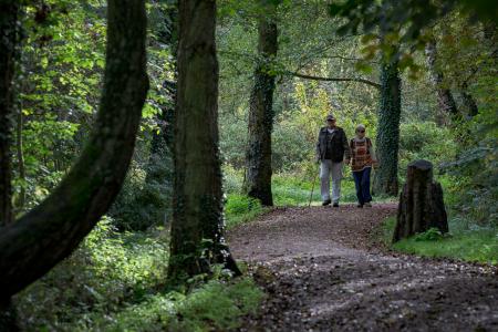 Old couple walking in the woods