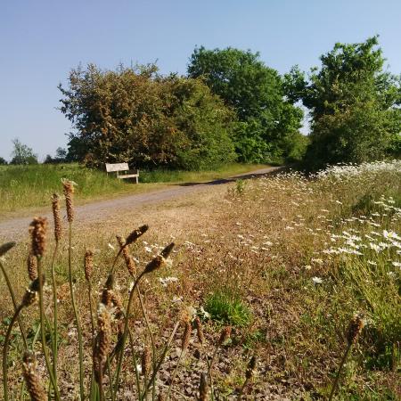 Brampton Valley Way bench