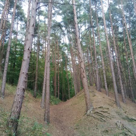 Irchester Country Park