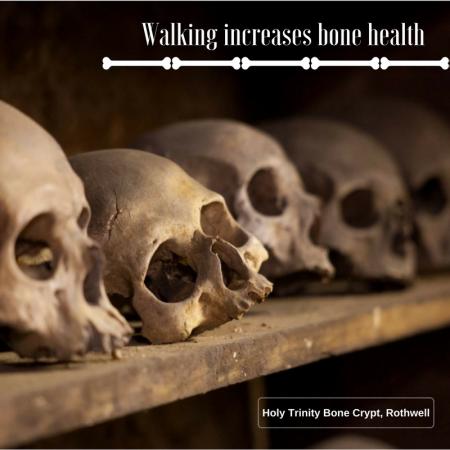 Walk for healthy bones