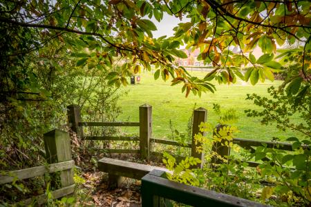 Walking Gate
