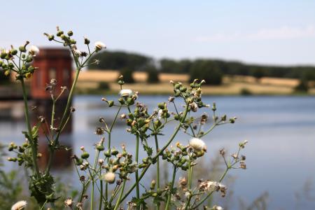 Sywell Country Park