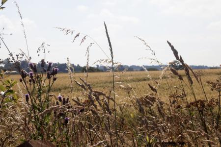 Beautiful English countryside