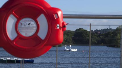 Rushden Lakes Swans
