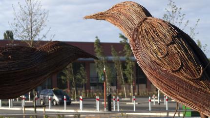 Rushden Lakes Bird Sculpture