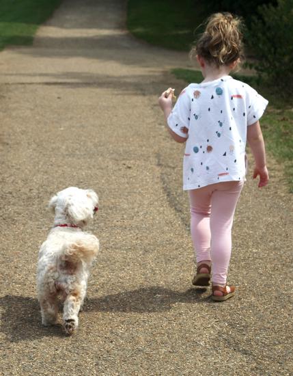 Young girl and her dog walking