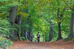 Cycling in Northamptonshire Forest (Harlestone Firs)