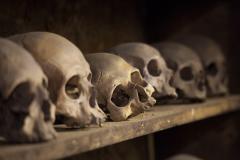 Line of skulls rothwell bone crypt 
