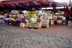 Flower stall at Northampton's Market
