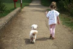 Young girl and her dog walking